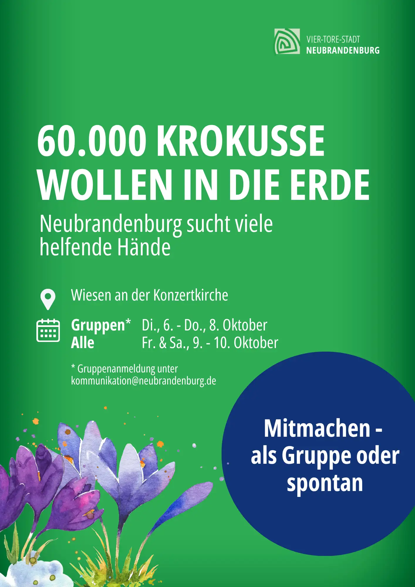 Neubrandenburg sucht Helferinnen und Helfer für Krokus-Pflanzaktion an der Konzertkirche