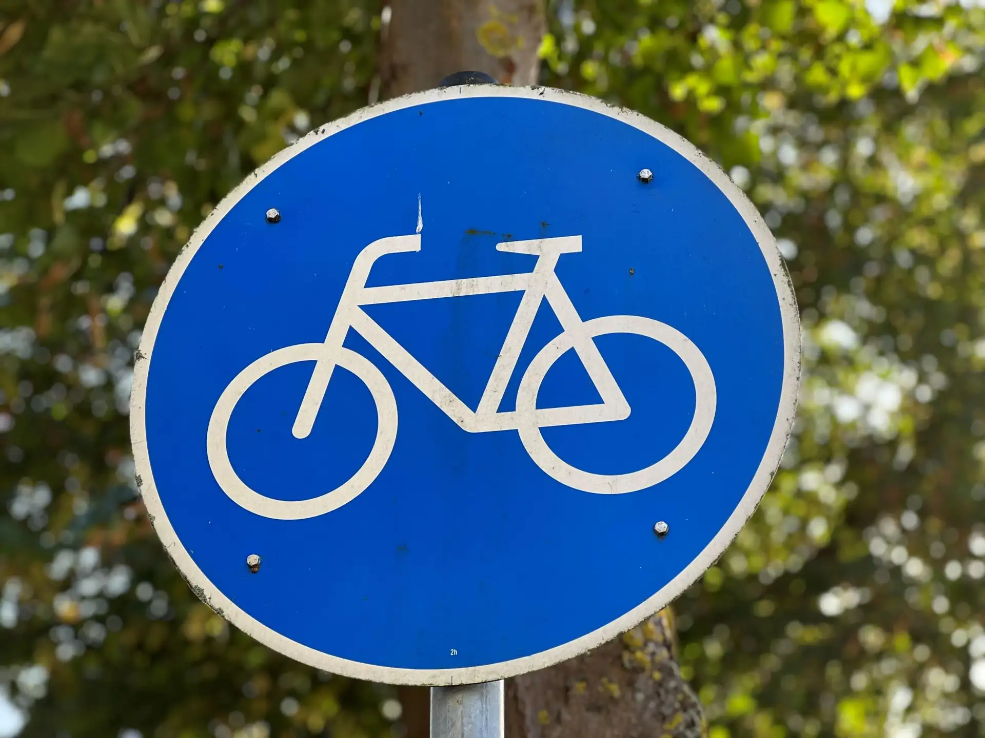 Schwerin plant Radverkehrsausbau mit Lückenschluss und Fahrradstraße