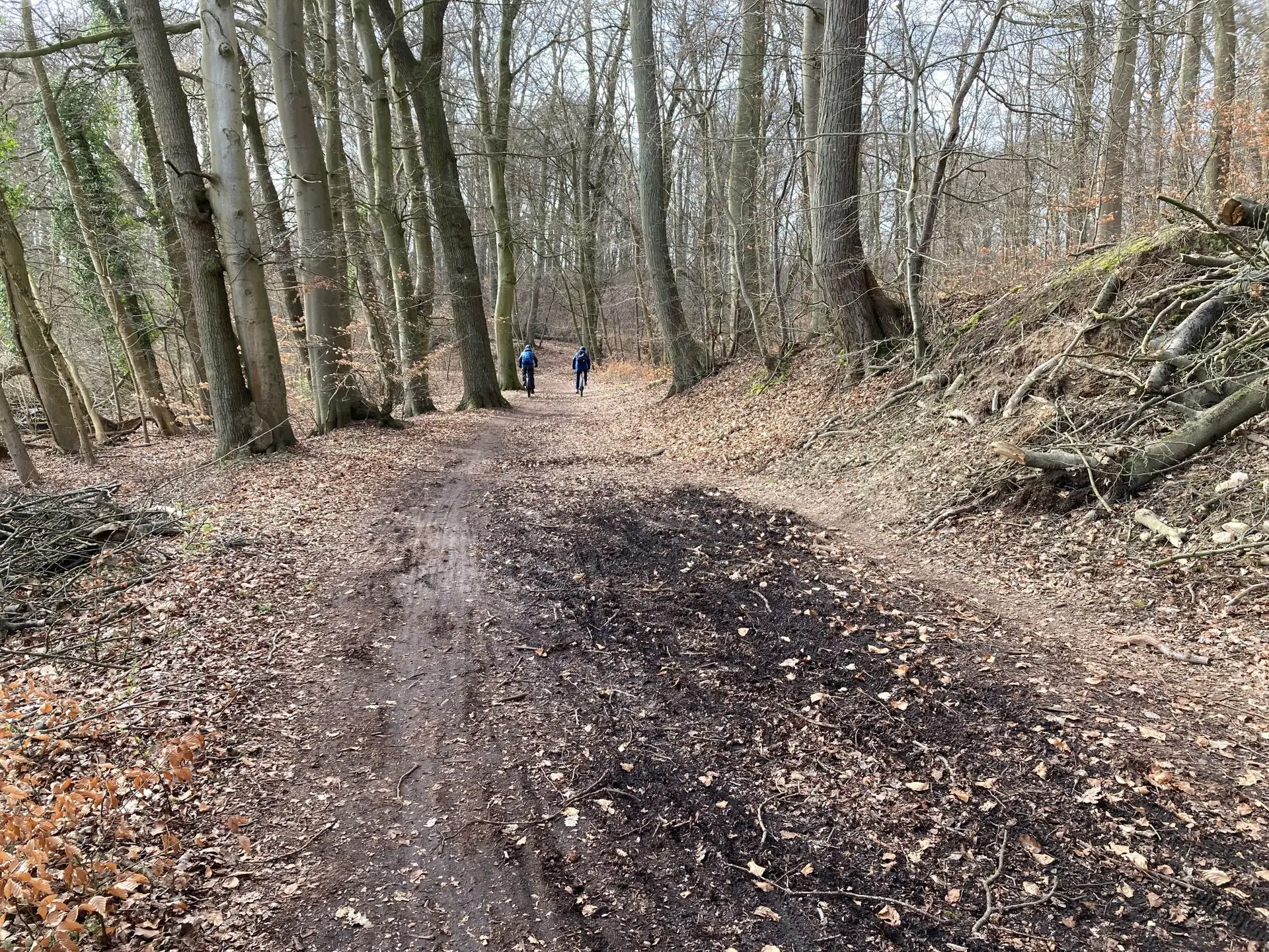 Schwerin plant Ausbau für bessere Radwege entlang des Uferwegs und der Mecklenburgstraße